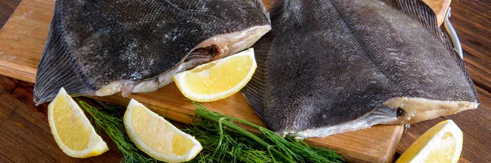 flat fish